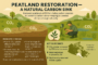 Peatland Restoration & CO₂ Sequestration 2 Simulating ecosystem carbon dioxide fluxes and their associated influencing factors for a restored peatland